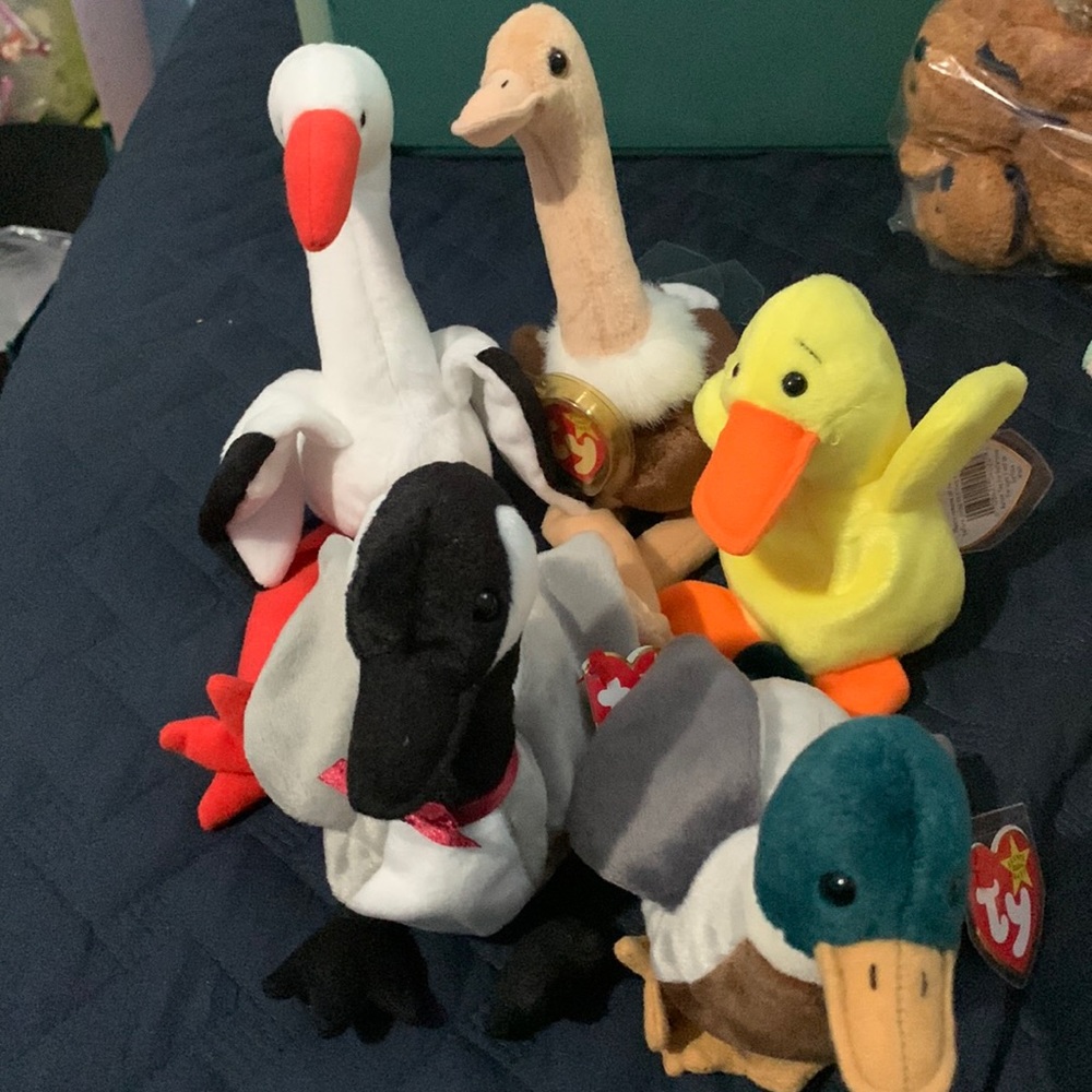 Ty beanie babies set of five various birds
